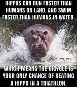 Stupid Bar Memes ab9c896f321293d5