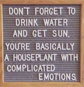Stupid Bar Memes ac36e2493e522599