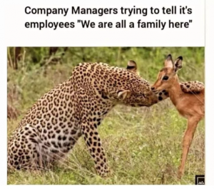 Stupid Bar Memes ac6d4299e20456c3