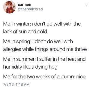 Stupid Bar Memes aqe0OM7s700b