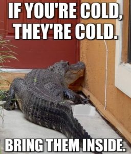 Stupid Bar Memes awZwgZBs700b