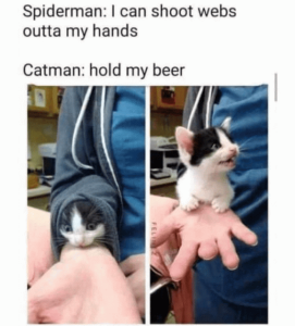 Stupid Bar Memes b230086ee111c653