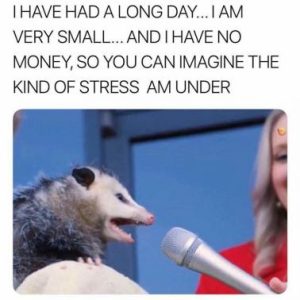 Stupid Bar Memes b25a8881499b39f1