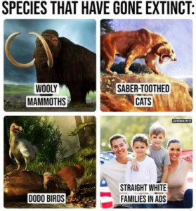 Stupid Bar Memes b2f2d8e58443f87f