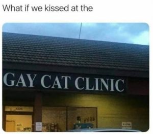 Stupid Bar Memes b53b2e4904934dfd