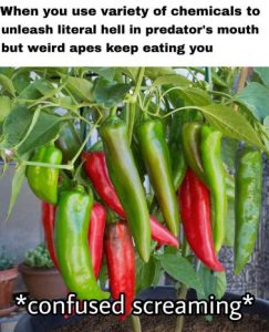 Stupid Bar Memes b5b6d8d240fe5c16