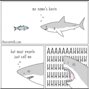 Stupid Bar Memes b5cf07cc7ffdd910