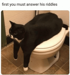 Stupid Bar Memes b7d0012034d79a40