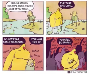 Stupid Bar Memes bce1f81bdfee7b06
