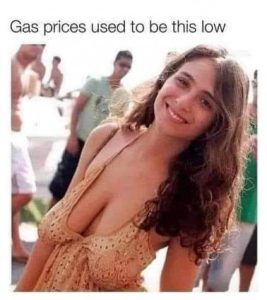 Stupid Bar Memes be91cd8434ecbf04
