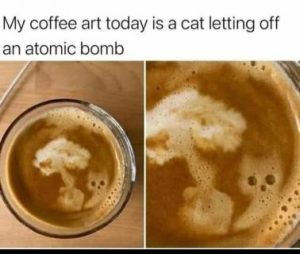 Stupid Bar Memes c13ec523c65caf5f