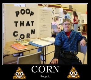 Stupid Bar Memes c5684656a3a01257