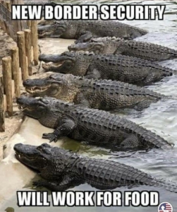 Stupid Bar Memes c84a9b908dc077e5