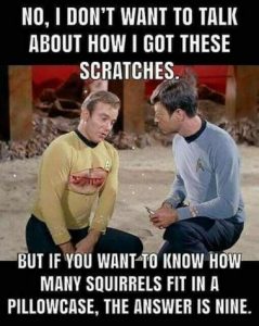 Stupid Bar Memes c91659cc81c3fe36