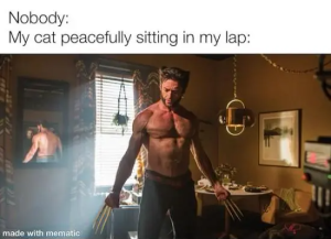 Stupid Bar Memes cSmZYJI