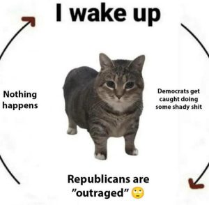 Stupid Bar Memes cb40b92685bbd91f