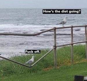 Stupid Bar Memes cd36b4f3dec1f2a8