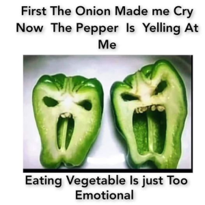 Stupid Bar Memes cdbd98ed90f16703