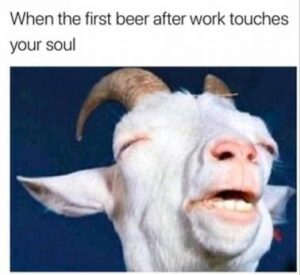 Stupid Bar Memes d1d3cac120f91426
