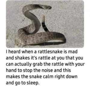 Stupid Bar Memes d9bf489978315599