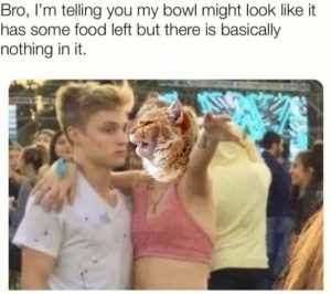 Stupid Bar Memes d9dcb4dcc27fef14