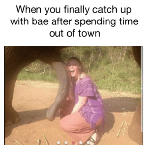 Stupid Bar Memes dbb123450ab7fa36