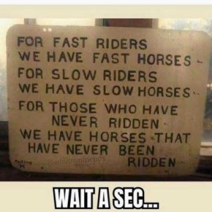 Stupid Bar Memes df82c2000e179c87