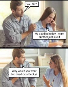 Stupid Bar Memes e67b4582635b46b7