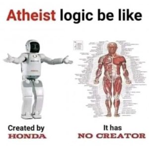Stupid Bar Memes e7260b5f7211b24b
