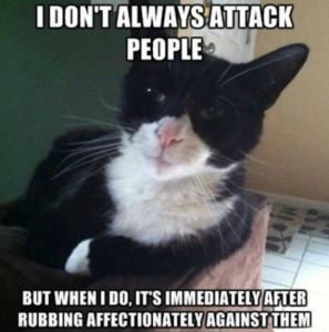 Stupid Bar Memes e90036a89ad96ac0