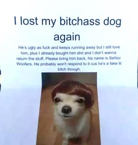 Stupid Bar Memes e9a02f97a5c6d737