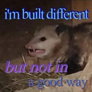 Stupid Bar Memes ee0903907e228cce