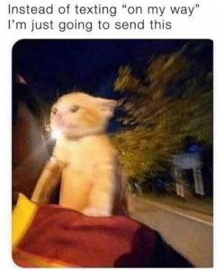 Stupid Bar Memes ef0deabd27001f66
