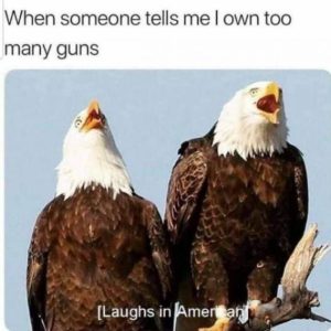Stupid Bar Memes efbec99e02077045