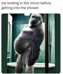 Stupid Bar Memes f4458d6ef3b7304f