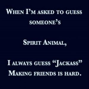 Stupid Bar Memes f452aefbdd1a62b2