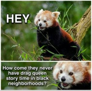 Stupid Bar Memes f47fb61986a7f65f