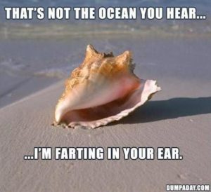Stupid Bar Memes fd38e3bac92c3d7f