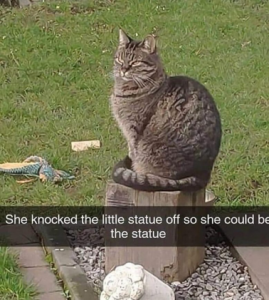 Stupid Bar Memes ff84d596e55d4d9b