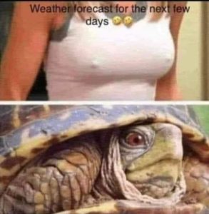 Stupid Bar Memes image000000 2 2