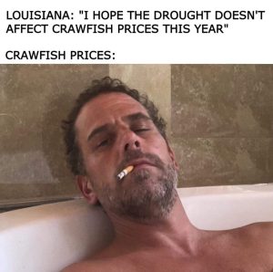 Stupid Bar Memes image000000 3