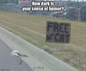 Stupid Bar Memes image000002