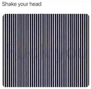 Stupid Bar Memes nvjOJbv