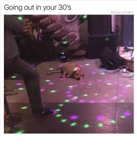 Stupid Bar Memes pbcpmU6