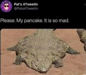 Stupid Bar Memes ryAekgp