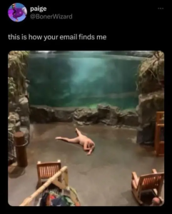 Stupid Bar Memes shitheadsteves418082476s18411835585006630s8641662243146744065sns2677a0