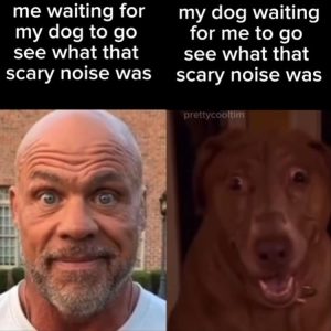 Stupid Bar Memes whensyoushearsasscarysnoise