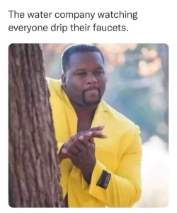 Stupid Bar Memes xBWZDji