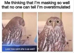 Stupid Bar Memes yourescalm
