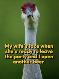 Stupid Bar Memes youresface